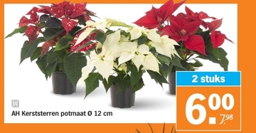 Aanbieding: AH Kerststerren