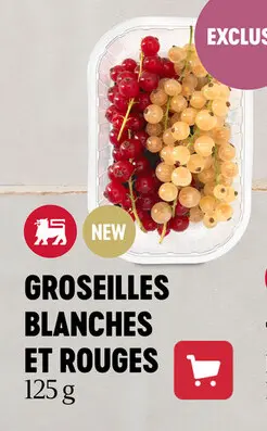 Offre: Groseilles blanches et rouges