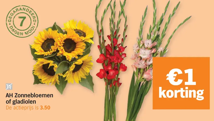 Aanbieding: Zonnebloemen of gladiolen
