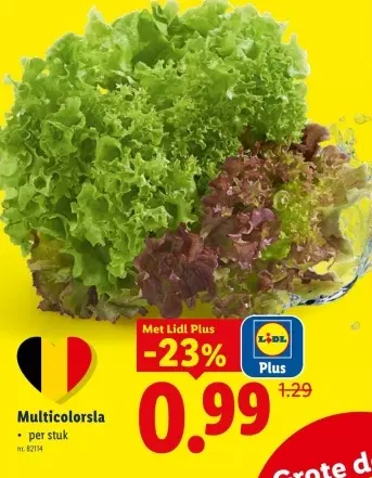 Promotie: Multicolorsla