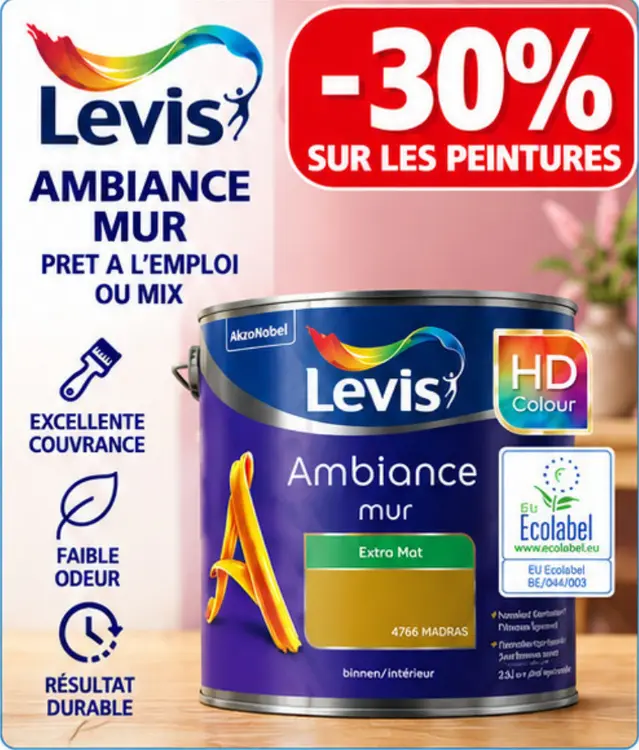 Offre: Peinture Ambiance mur