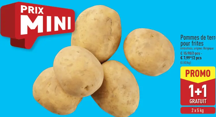Offre: Pommes de terre pour frites