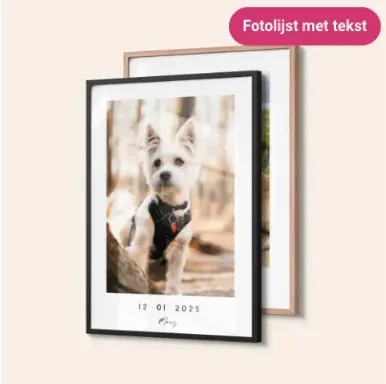 Aanbieding: Fotolijst met tekst