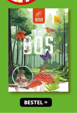 Aanbieding: In het bos