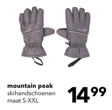 Aanbieding: Mountain Peak heren skihandschoenen grijs