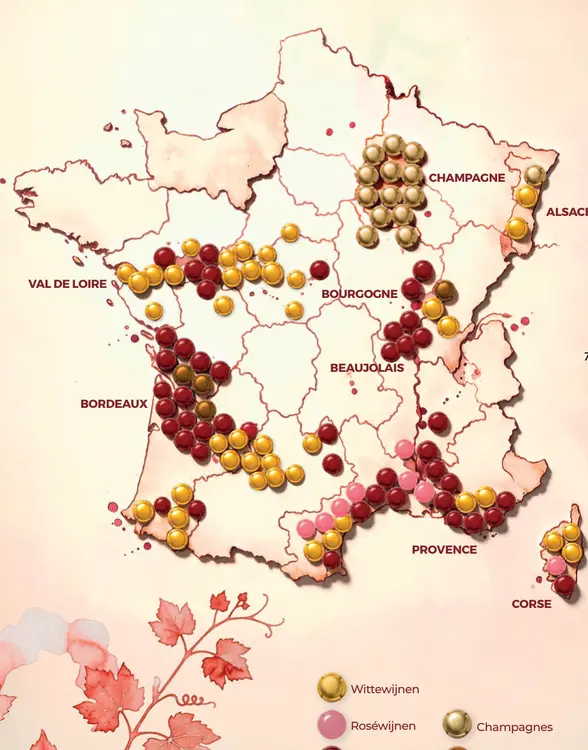 Promotie: Franse Wijnen