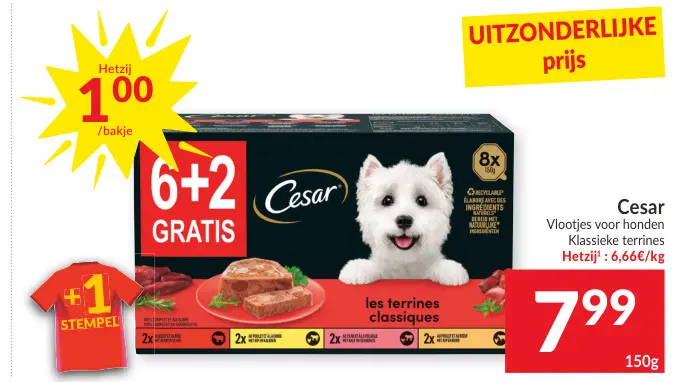 Promotie: Vlootjes voor honden Klassieke terrines