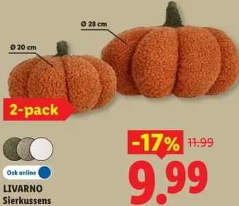 Aanbieding: Sierkussens