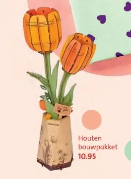 Aanbieding: Houten bouwpakket