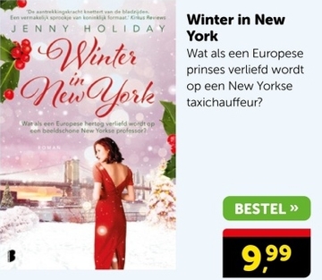 Aanbieding: Winter in New York