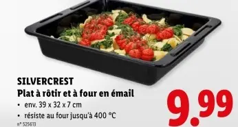 Offre: Plat à rôtir et à four en émail