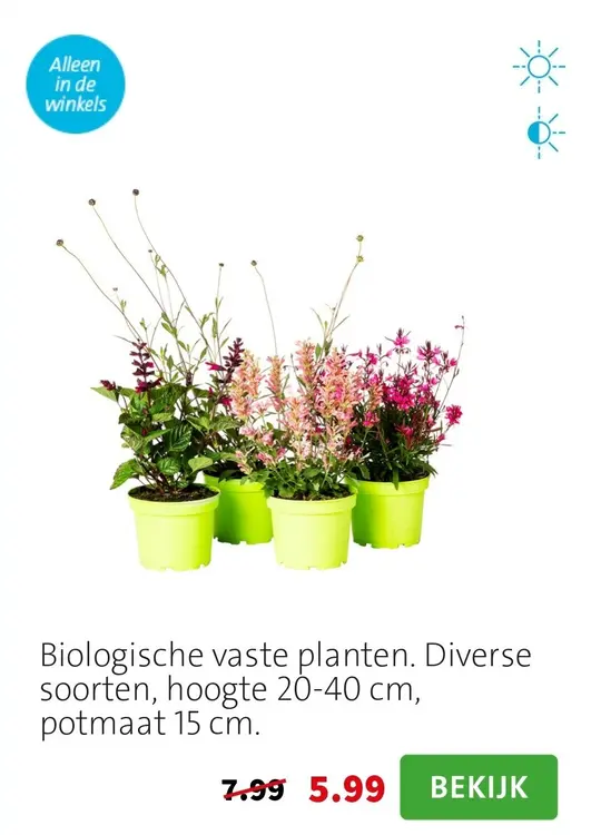 Aanbieding: Biologische vaste planten