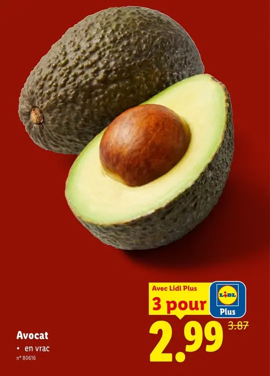 Offre: Avocat