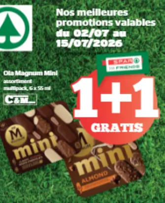 Offre: Ola Magnum Mini