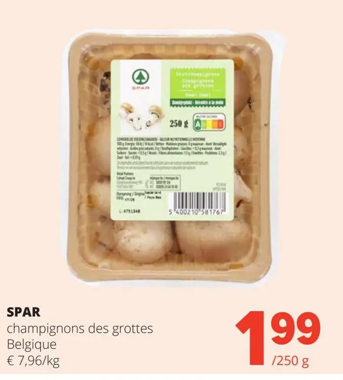 Offre: champignons des grottes