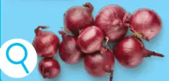 Offre: Oignons rouges