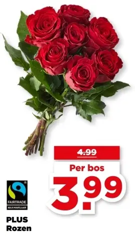 Aanbieding: Rozen