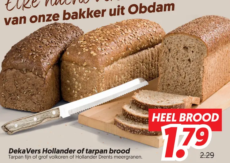 Hollander of tarpan brood