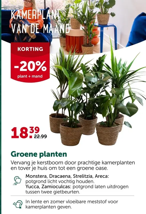 Promotie: Groene planten