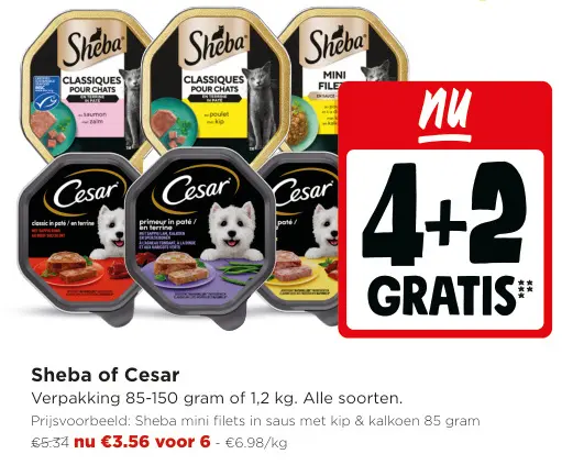 Promotie: Sheba of Cesar