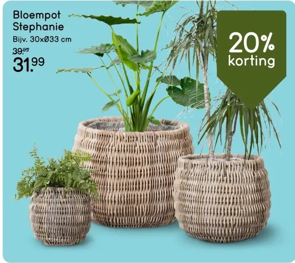 Aanbieding: Bloempot Stephanie