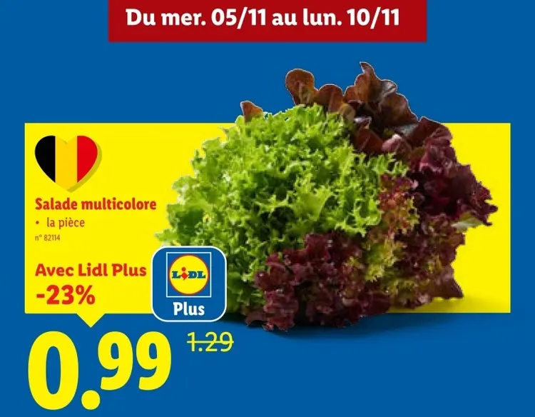 Offre: Salade multicolore