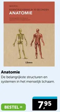 Aanbieding: Anatomie