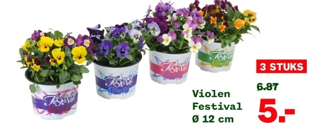 Aanbieding: Violen Festival