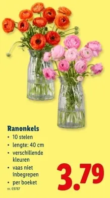 Promotie: Ranonkels