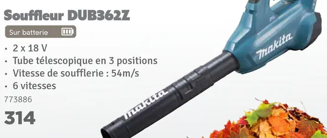 Offre: Aspirateur-souffleur DUB187T001