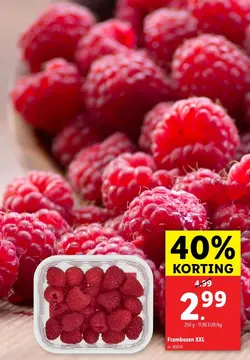 Aanbieding: Frambozen XXL