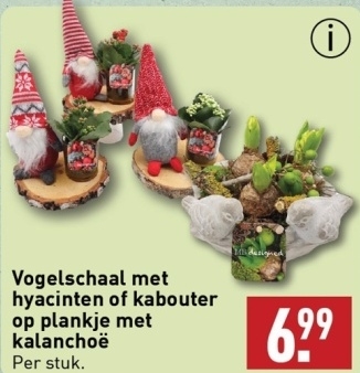 Aanbieding: Vogelschaal met hyacinten of kabouter op plankje met kalanchoë