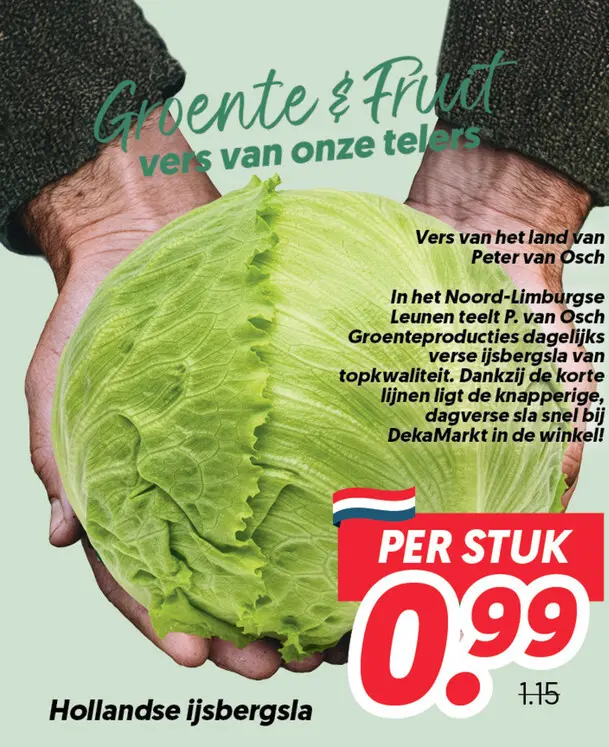 Hollandse ijsbergsla