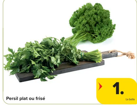 Offre: Persil plat ou frisé