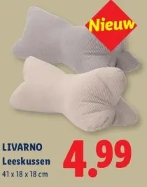 Aanbieding: Leeskussen
