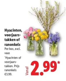Aanbieding: Hyacinten, voorjaarstakken of ranonkels