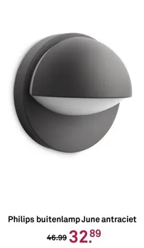 Aanbieding: Philips buitenlamp Buzzard zwart