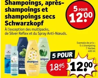 Offre: Shampoings, après-shampoings et shampoings secs