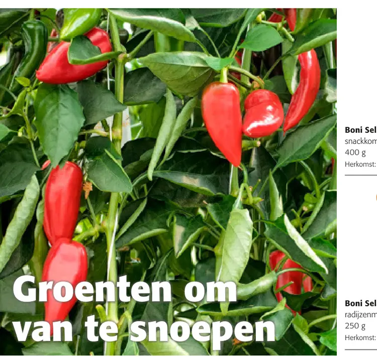 Promotie: snackkom