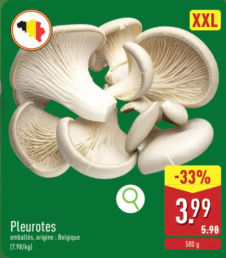 Offre: Pleurotes