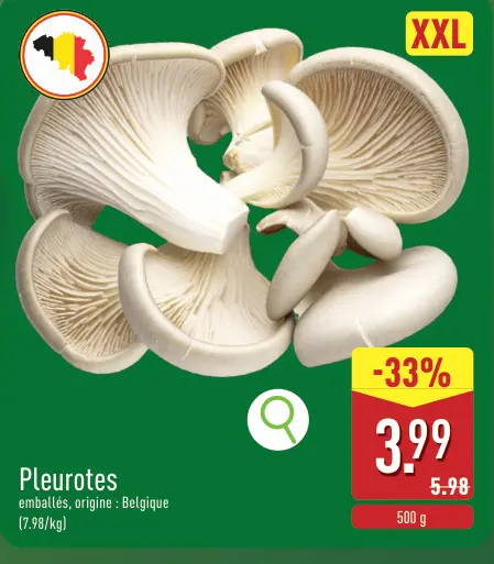 Offre: Pleurotes