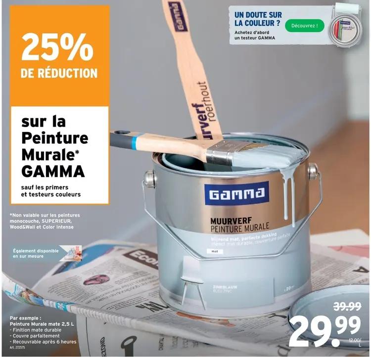 Offre: Peinture Murale mate