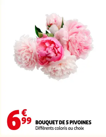 Promotie: Bouquet de 5 pivoines