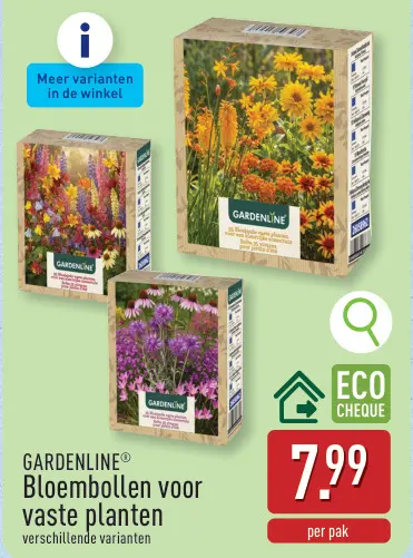 Promotie: Bloembollen voor vaste planten