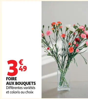 Promotie: Foire aux Bouquets