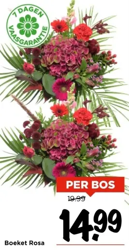 Aanbieding: Boeket Rosa