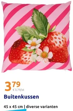 Aanbieding: Buitenkussen