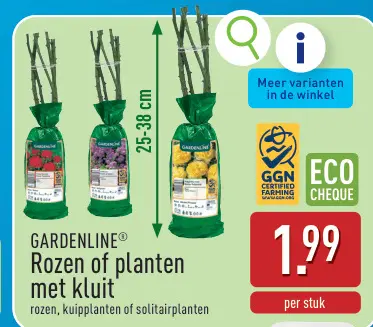 Promotie: Rozen of planten met kluit