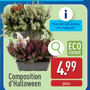 Offre: Composition d'Halloween