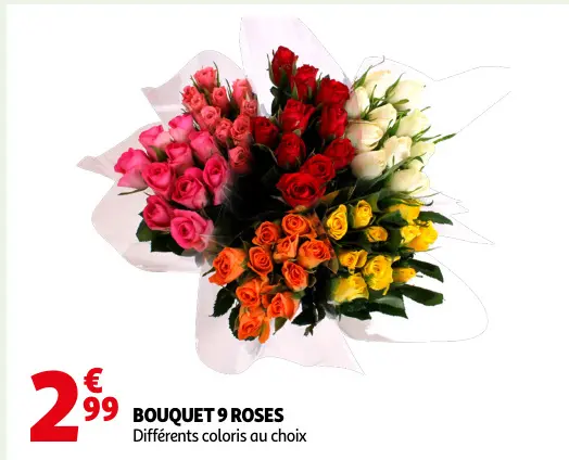Promotie: Bouquet 9 roses